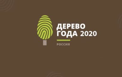 Национальный конкурс «Российское дерево года 2020»