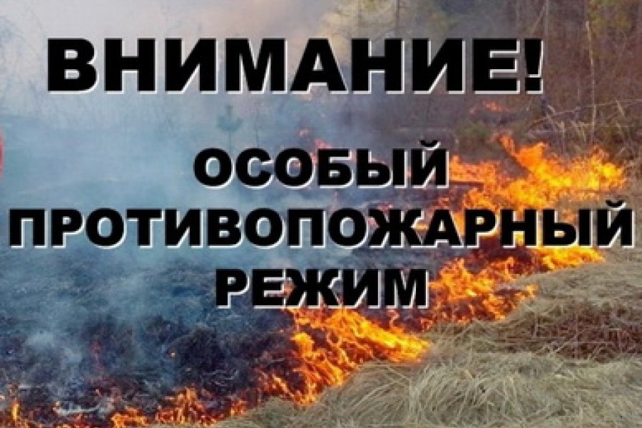 В Санкт-Петербурге установлен особый противопожарный режим