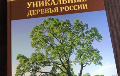 Всероссийская программа «Деревья — памятники живой Природы»