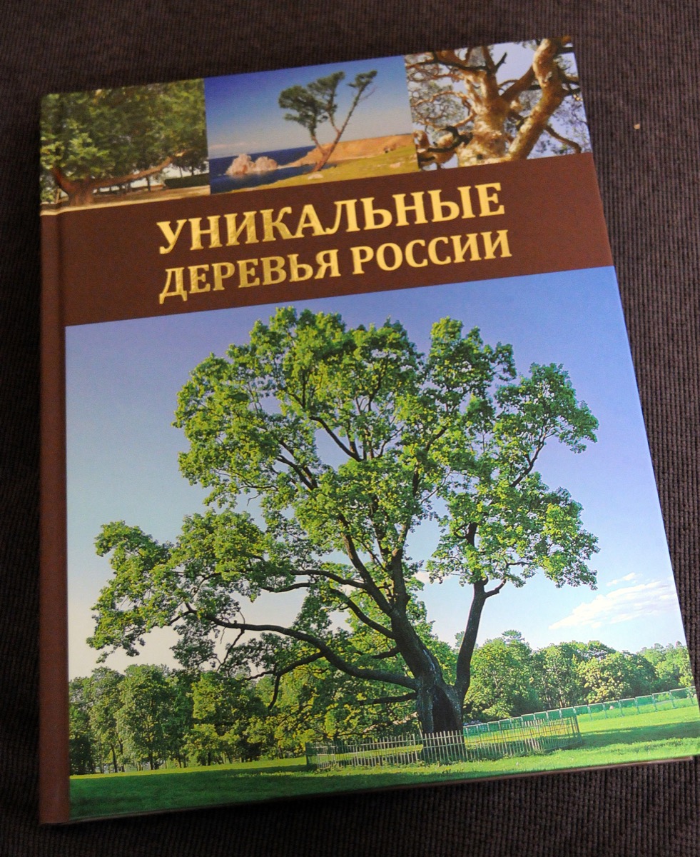 Всероссийская программа «Деревья — памятники живой Природы»