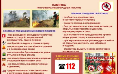 Памятка по профилактике природных пожаров