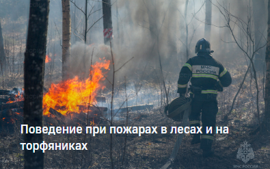Пожары в лесу и на торфяниках Пожары в лесу и на торфяниках